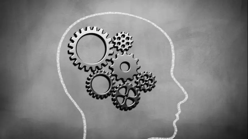 The Science Behind EchoXen